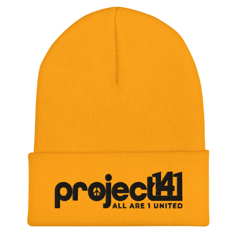 P141 Cuffed Beanie