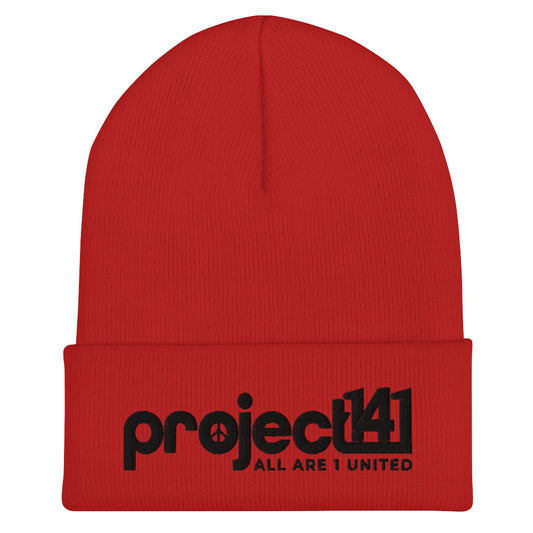 P141 Cuffed Beanie